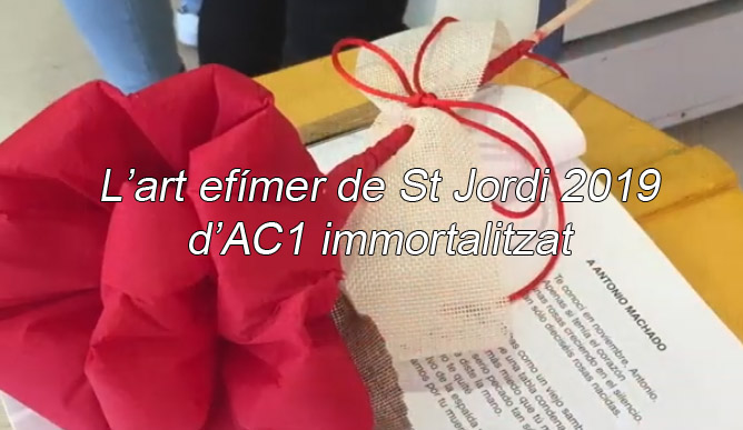 Art efímer,St Jordi 2019 - AC1